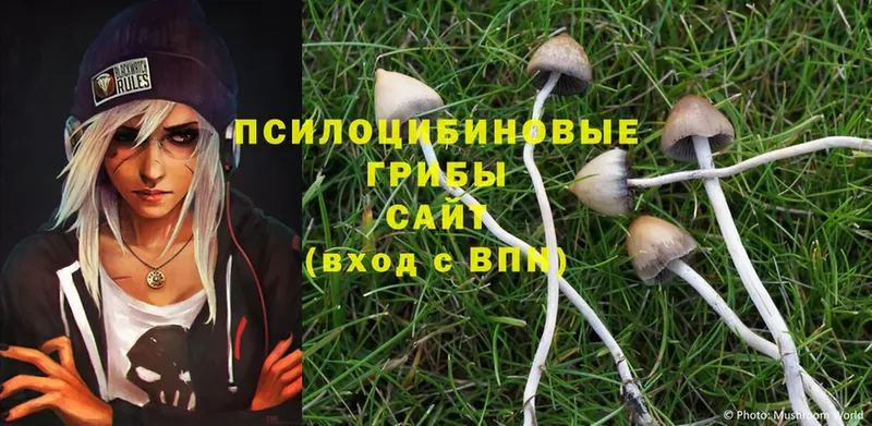 что такое   Нижние Серги  Галлюциногенные грибы Cubensis 